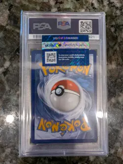 Pokemon Evolving Skies Sylveon Vmax 212/203 Alt Art PSA 10 - Image 3