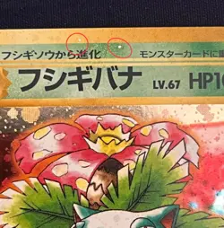 Pokemon CCG Japanese Intro Pack Deck Set Venasaur Blastoise 003 009 LP MP Holo - Image 3