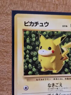 Ivy Pikachu Corocoro Promo non glossy Japanese Pokemon card 1996 Keiji Kinebuchi - Image 5