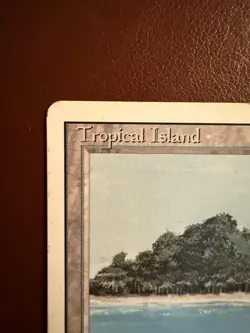 MTG Magic the Gathering Tropical Island Dual Land Revised Edition - Image 2