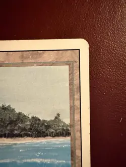 MTG Magic the Gathering Tropical Island Dual Land Revised Edition - Image 3