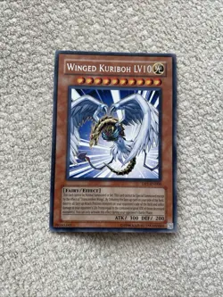 Winged Kuriboh LV10 DP1-EN006 (Rare, Unlimited, Near Mint / NM) Yugioh - Image 1