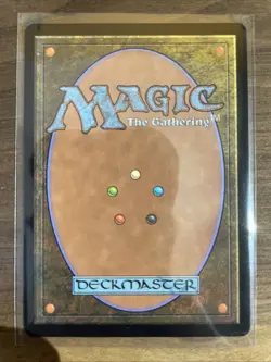 MTG, Vannifar, Evolved Enigma (Showcase) (0323) Murders at Karlov Manor Regular - Image 2