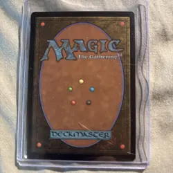Sylvan Library (Borderless) Special Guests Foil - Image 2