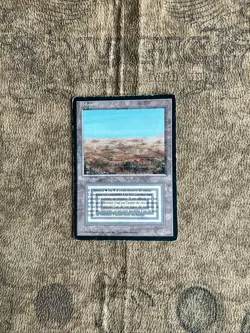 MTG Revised French FBB Scrubland - Image 1