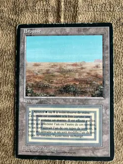 MTG Revised French FBB Scrubland - Image 2