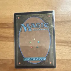 Magic: The Gathering Raph & Leo, Sibling Rivals Legendary Creature TMT Rare 0166 - Image 2