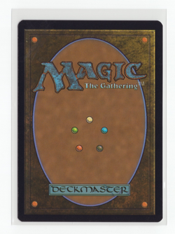 MTG TCG Mikey & Leo, Chaos & Order 158 R Teenage Mutant Ninja Turtles Nm - Image 2