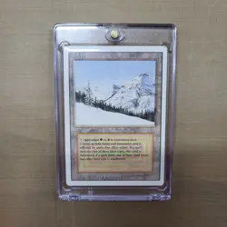 MTG Taiga - Revised Edition - Lightly Played (LP) - Dual Land - 1994 - Image 1