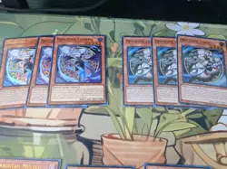 Dracotail Deck Core 24 Cards Lightly Played 1st Edition Yu-Gi-Oh Lot - Image 2
