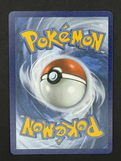Greninja Star SWSH144 SWSH: Sword & Shield Promo Cards Holo - Image 2