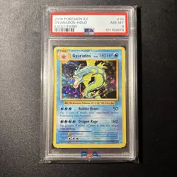 PSA 8 Pokemon Gyarados 34/108 XY Evolutions Holo Rare - Image 1