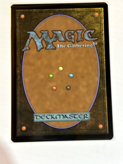 Polluted Delta Zendikar Rising Expeditions Foil - Image 2