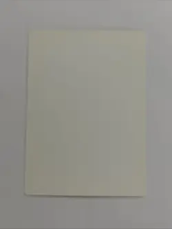 MTG Magic the Gathering FOIL SIGNED ARTIST PROOF DRUID OF THE SACRED BEAKER - Image 2