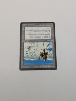 Mtg Adarkar Wastes X1 LP Ice Age - Image 2