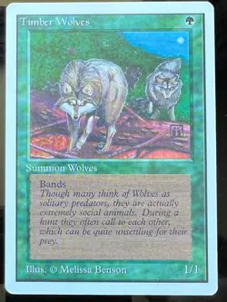 Magic the Gathering MTG Unlimited Timber Wolves NM (Beta Bob) - Image 1