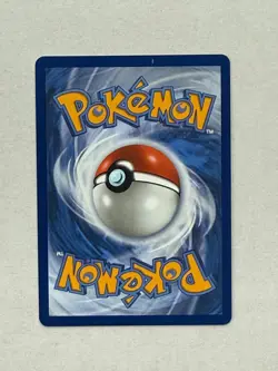 Litten 044 Holo Promo ME: Mega Evolution Promo Pokemon Near Mint - Image 2