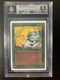 Verduran Enchantress Unlimited Magic the Gathering - MTG BGS 8.5 w/9.5 centering - Image 1