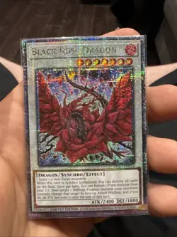 Black Rose Dragon - TN23-EN014 - Quarter Century Secret Rare - Yugioh - Image 1
