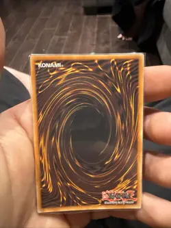 Black Rose Dragon - TN23-EN014 - Quarter Century Secret Rare - Yugioh - Image 2