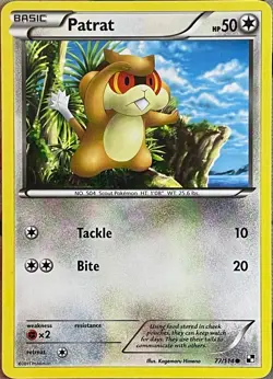 Patrat - 77/114 - Black & White Base Pokemon 2011 - Image 1