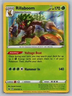 Rillaboom 014/202 Holo Rare Sword & Shield Pokemon Holo Near Mint - Image 1