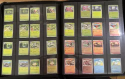 Pokemon Mega Evolution Perfect Order Base Master Set + IRs (Read description) - Image 5