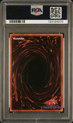 2024 YU-GI-OH! JPN TD02-SECRET RARE TOYKO DOME BLUE-EYES WHITE DRAGON PSA 10 - Image 2