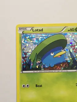 Lotad 2/12 McDonald's 2015 Collection - Holo Rare Promo - Pokemon - Image 3