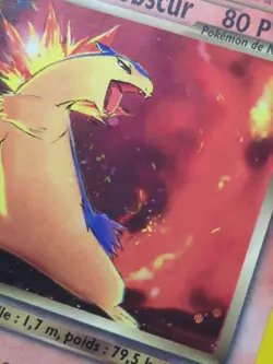 Dark Typhlosion 10/105 Pokemon Neo Destiny FRENCH Holo LP - Image 3