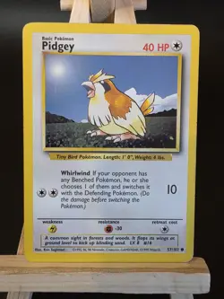 Pokemon TCG Pidgey Base Set 57/102 Regular MP. - Image 1