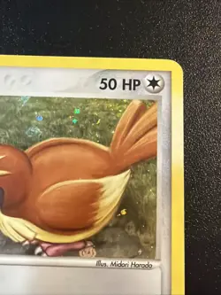 2004 Pidgey - 73/112 - Pokemon Ex FireRed LeafGreen Reverse Holo MP - Image 3