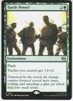 Turtle Power! 135 Teenage Mutant Ninja Turtles Magic the Gathering - Image 1