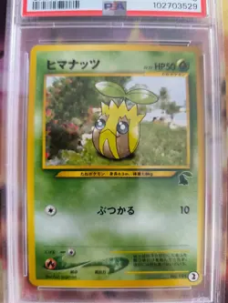 Pokemon Card Sunkern Sonnkern Chikorita Side Deck Intro Pack 2001 Japanese PSA 8 - Image 3