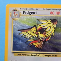 Pokemon TCG Card - Pidgeot Jungle 8/64 Holo Rare - Image 2