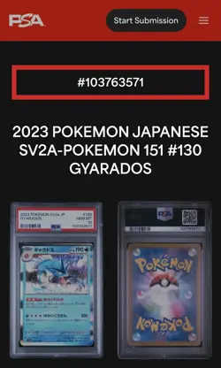 Gyarados 031/066 SV4K Japanese Ancient Roar PSA 10 GEM MINT Holo Pokemon JP - Image 5