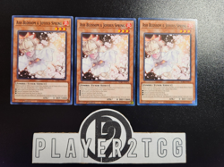 Yugioh | 3x Ash Blossom & Joyous Spring SDBT-EN014 1st Edition Near Mint - Image 1