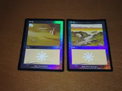 FOIL Lands lot Mercadian Masques Japanese x10 mtg SP,MP [FC] A - Image 2