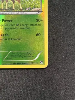 Sawsbuck 14/114 Rare Black & White Pokemon Reverse Holo Pokemon TCG - Image 4