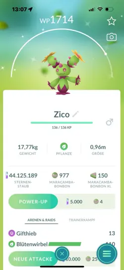 ✨Pokemon Go Shiny Maracamba/Maractus, See Description Beschreibung Lesen - Image 1