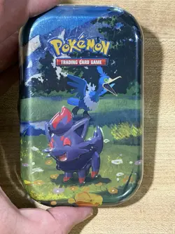 Pokemon Ascended Heroes Mini Tin Zorua & Cramorant Sealed - Image 5