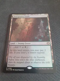Overgrown Tomb – Lorwyn: Eclipsed – Near Mint – Foil – MTG - Image 1