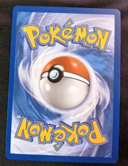 Ethan's Ho-Oh EX 209/182 S&V Destined Rivals Ultra Rare Full Art Pokemon TCG NM - Image 2