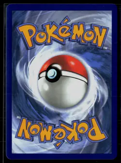 Litten - 044 044 ME: Mega Evolution Promo Promo Holo Pokemon - Image 2