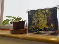 Pokemon - Surging Sparks Elite Trainer Box + Acrylic Display Case - Image 2