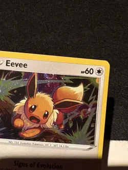 Eevee Promo SWSH: Sword & Shield Promo Cards SWSH118 NM Holo Bleed Swirl - Image 2