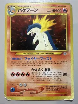 Pokemon TCG Typhlosion Holo - Neo Premium File 1 - No. 157 - MP/HP - Japanese - Image 1