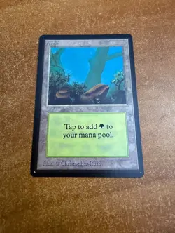 MTG Beta Edition 1993 Vintage Magic! NM Forest - Image 1