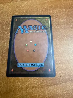 MTG Beta Edition 1993 Vintage Magic! NM Forest - Image 2