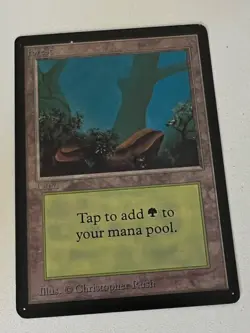 Magic the Gathering MTG Beta Forest v.2 (FOG) LP (Beta Bob) - Image 1